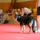 20250614_UCFAS_RE-2_2048p_20