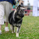 20250614_UCFAS_RE-2_2048p_29