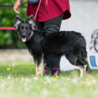 20250614_UCFAS_RE-2_2048p_31