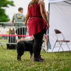 20250614_UCFAS_RE-2_2048p_44