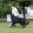 8U8A6157 copie