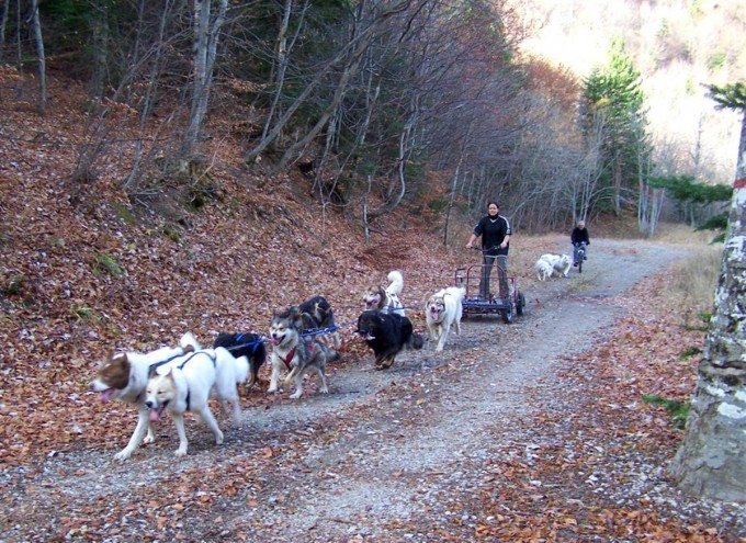 Tout chemins et toutes saisons !