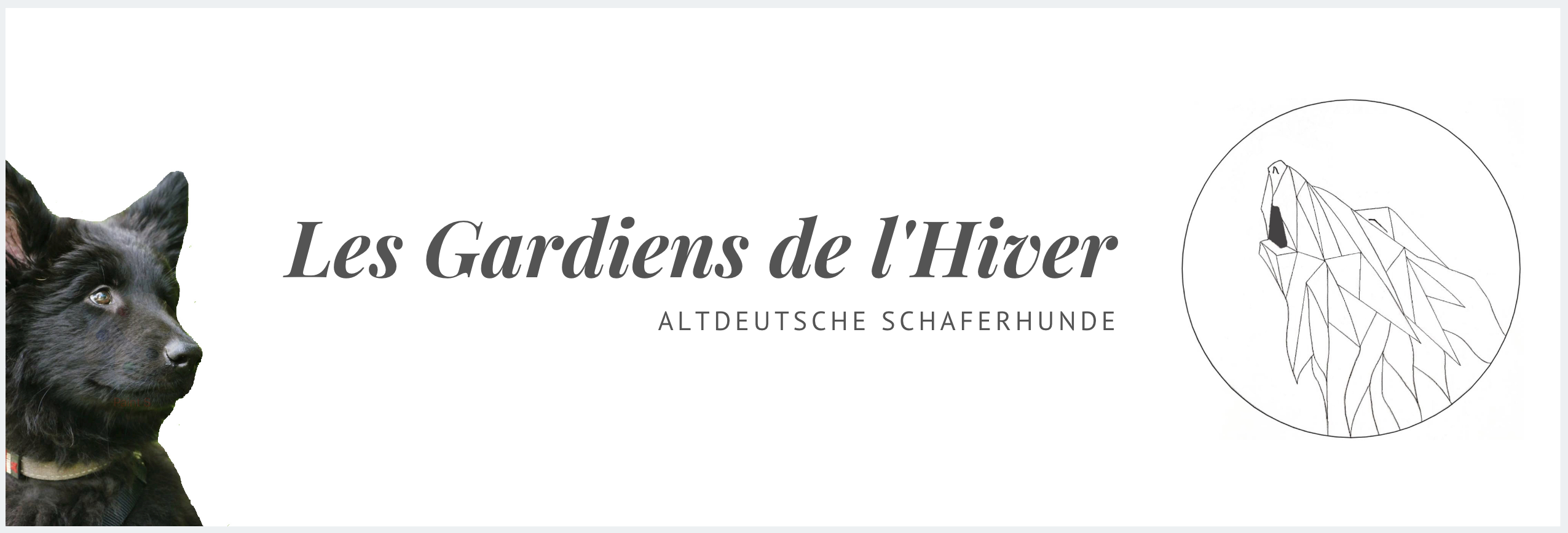 Les gardiens de l'hiver