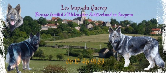 Les Loups du Quercy