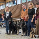 Les Loups du Nideck