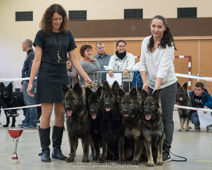 La Légende du Loup Noir