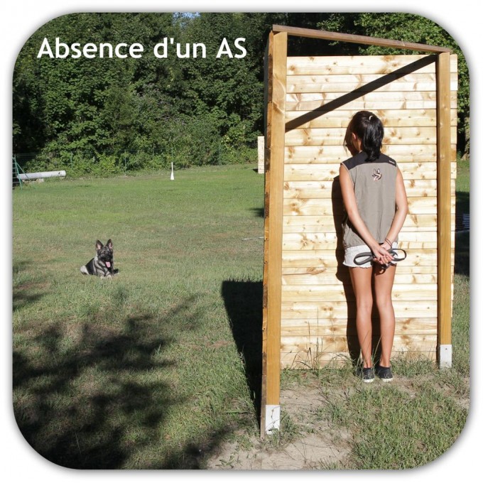 absence