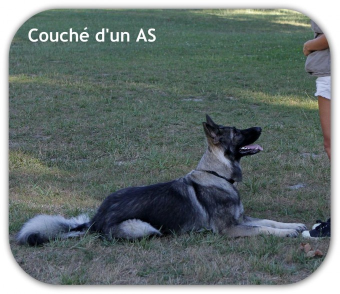 couché