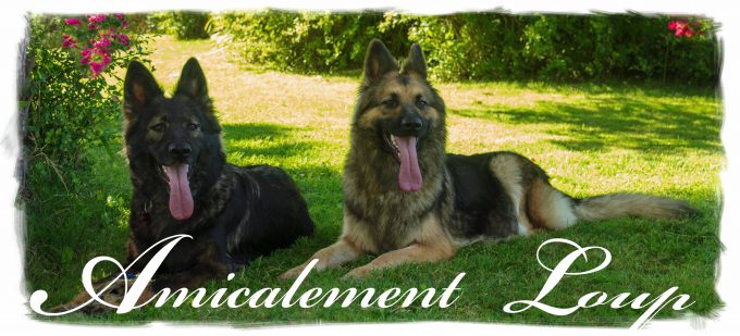 Amicalement Loup