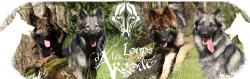 Les Loups d'Argoät