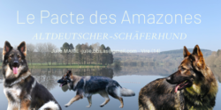 Le Pacte des Amazones