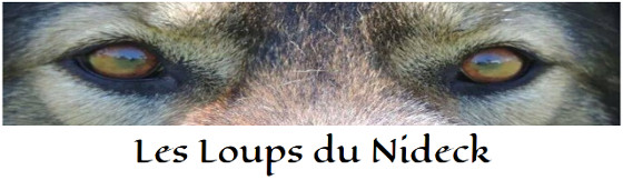 loups-nideck