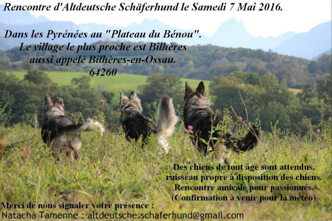 site de rencontres dans le sud ouest