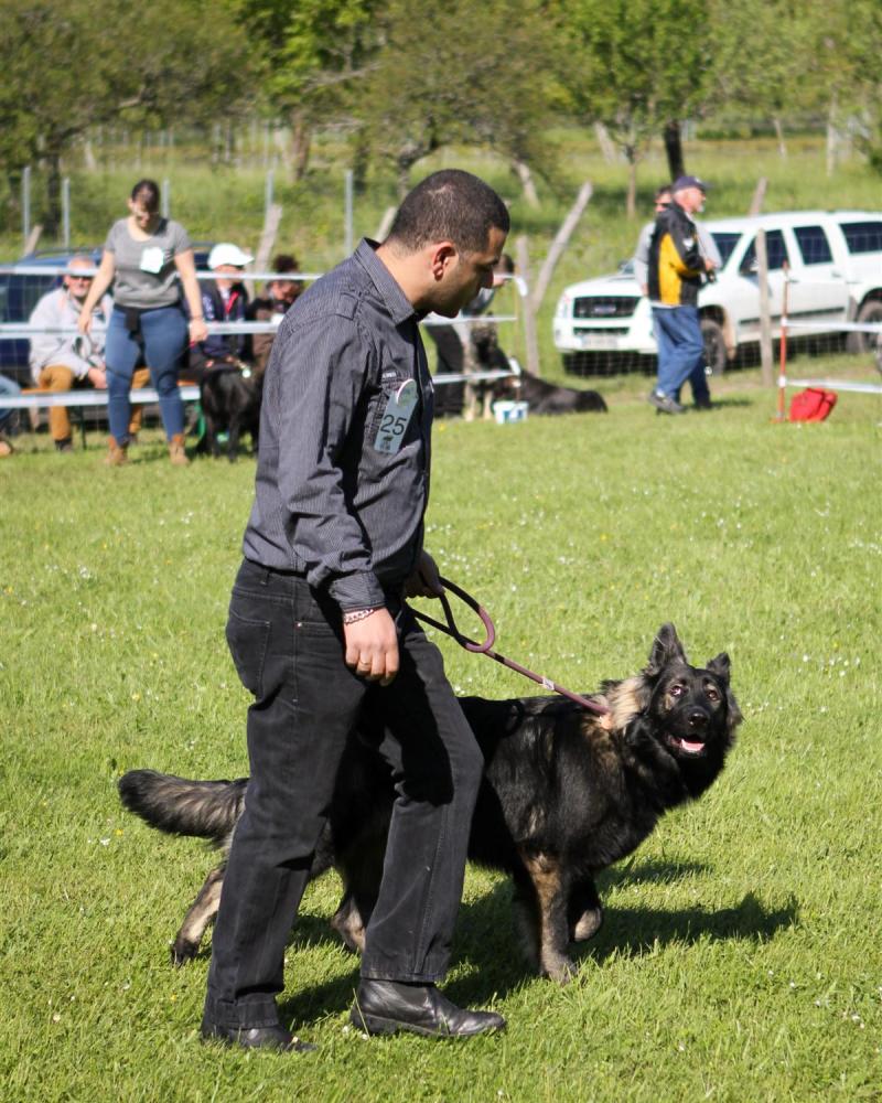 NE AS Mai 2014-001