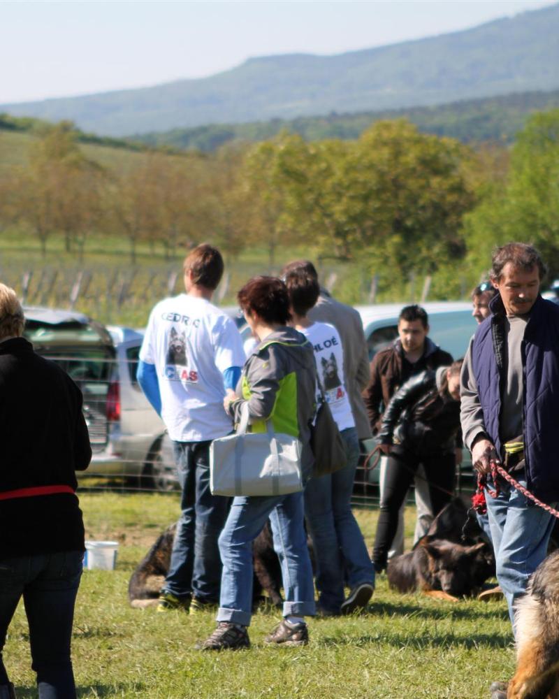 NE AS Mai 2014-014