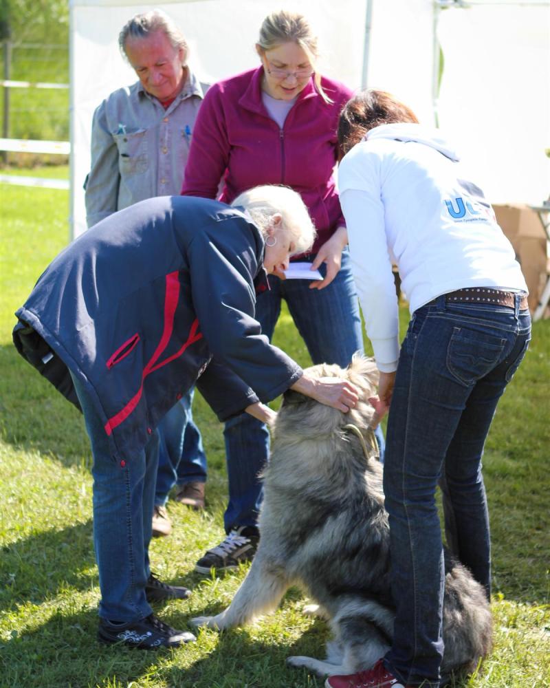 NE AS Mai 2014-033