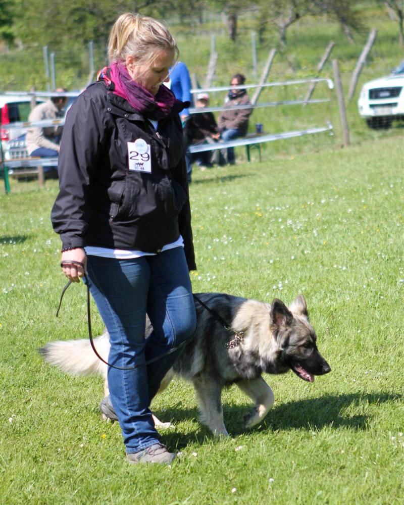 NE AS Mai 2014-064