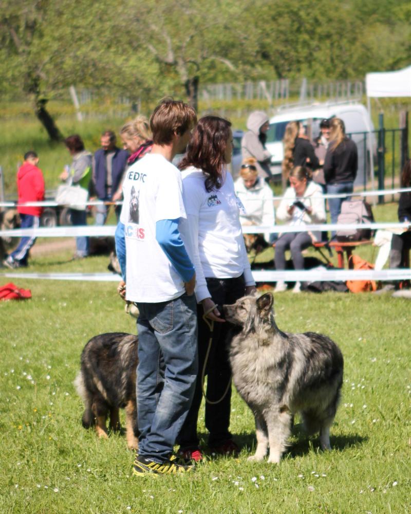 NE AS Mai 2014-068