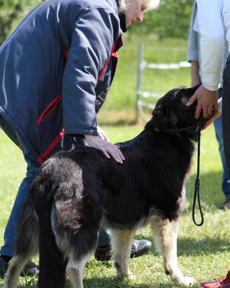 NE AS Mai 2014-071