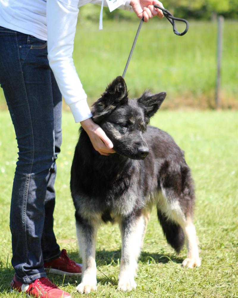 NE AS Mai 2014-075
