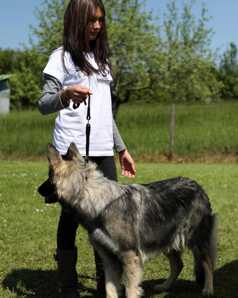 NE AS Mai 2014-102