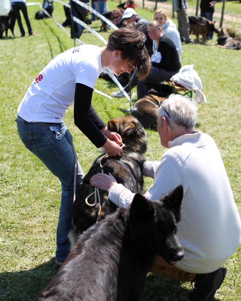 NE AS Mai 2014-109