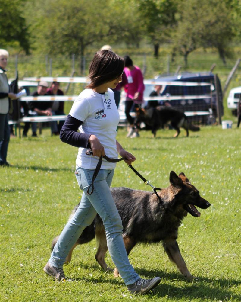 NE AS Mai 2014-135