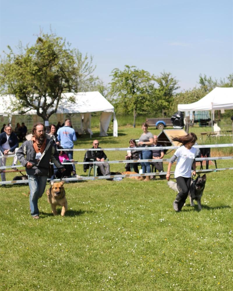 NE AS Mai 2014-143