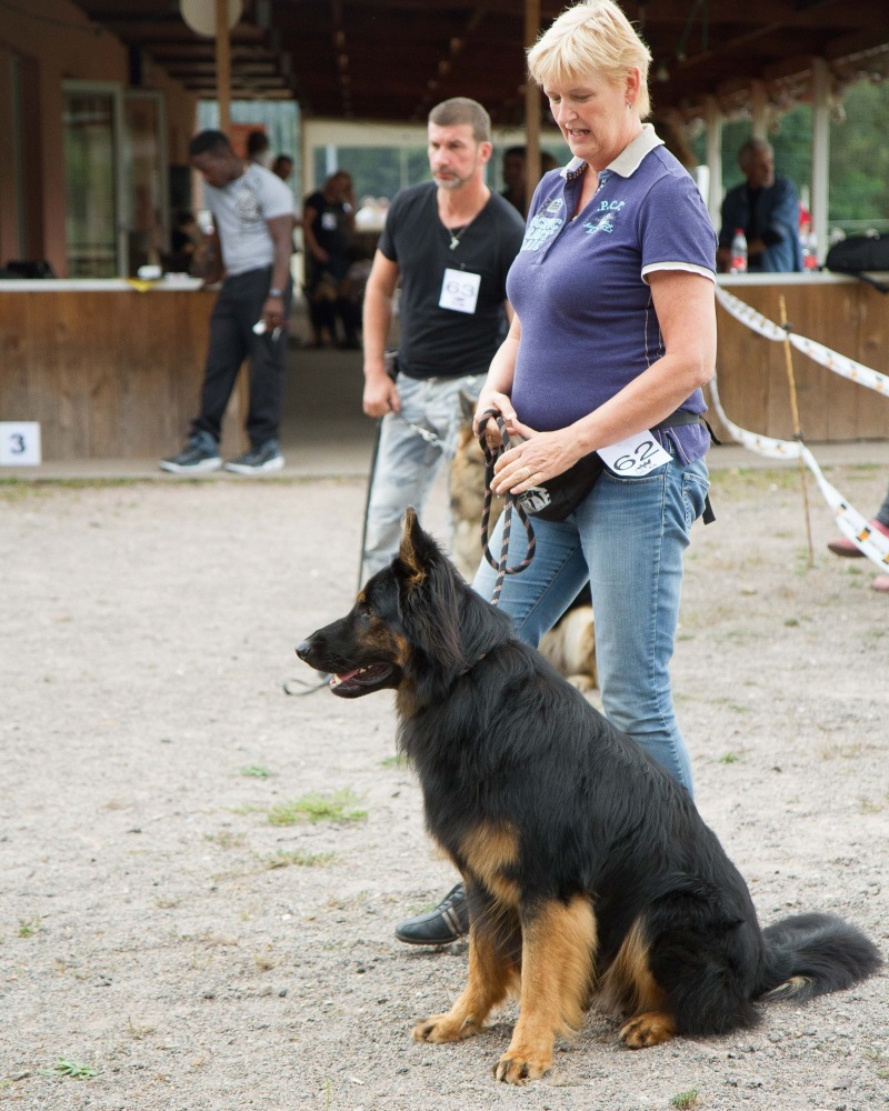 7653