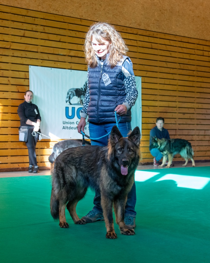 20221105_NE-Oberhaslach_2048_10