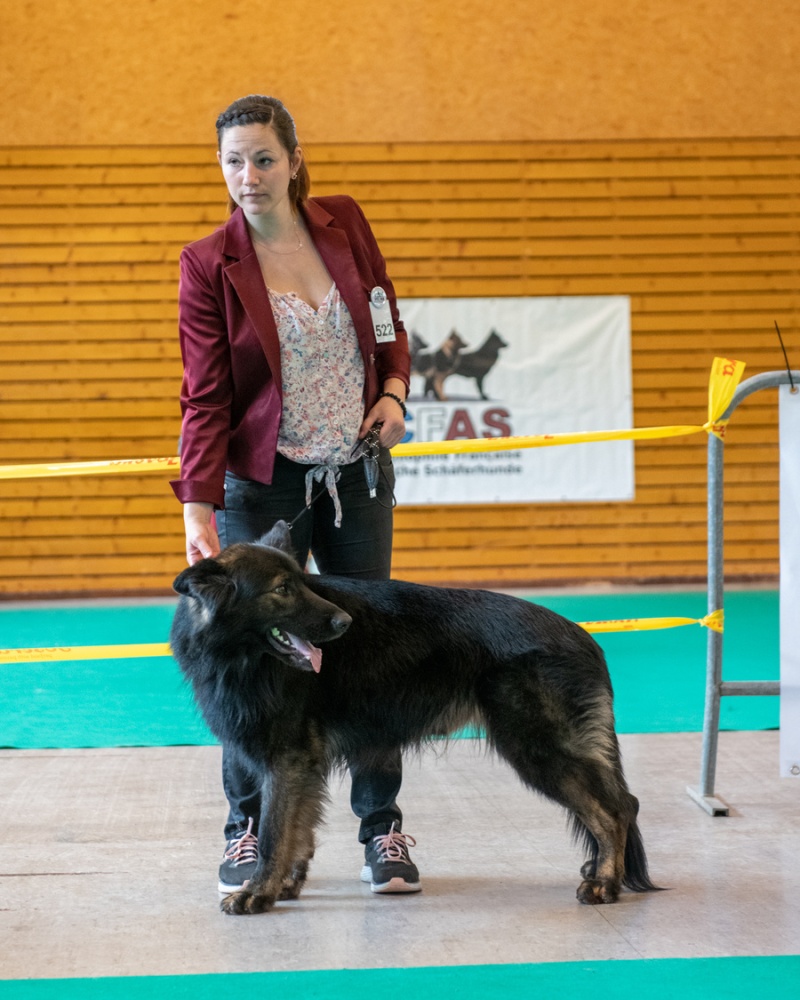 20221105_NE-Oberhaslach_2048_103