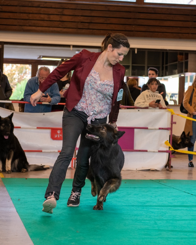 20221105_NE-Oberhaslach_2048_104
