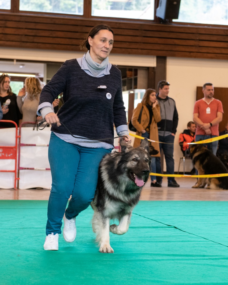20221105_NE-Oberhaslach_2048_105