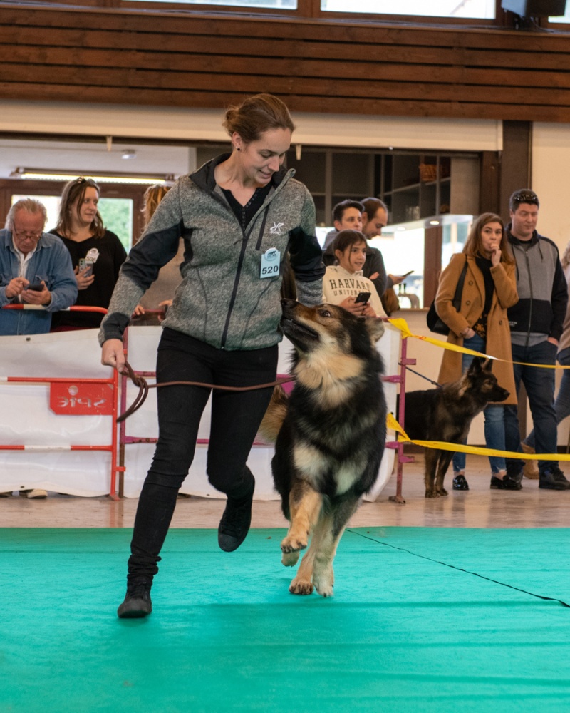 20221105_NE-Oberhaslach_2048_106
