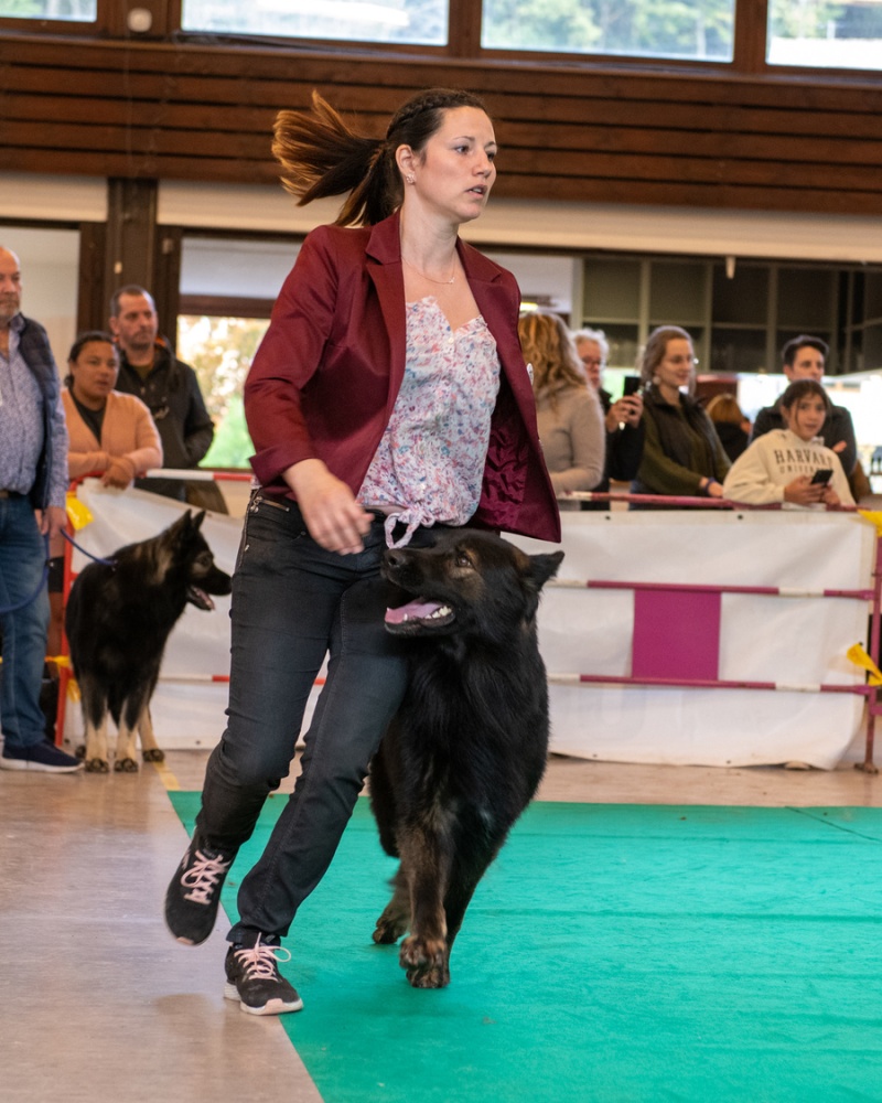 20221105_NE-Oberhaslach_2048_107