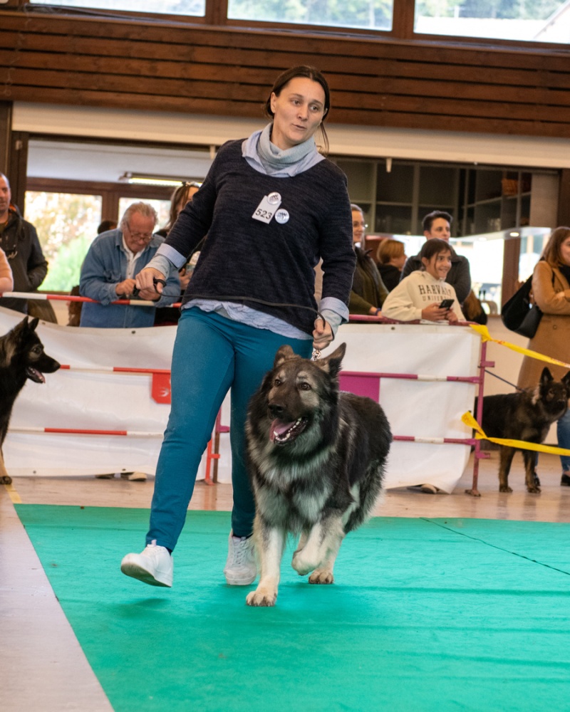 20221105_NE-Oberhaslach_2048_108