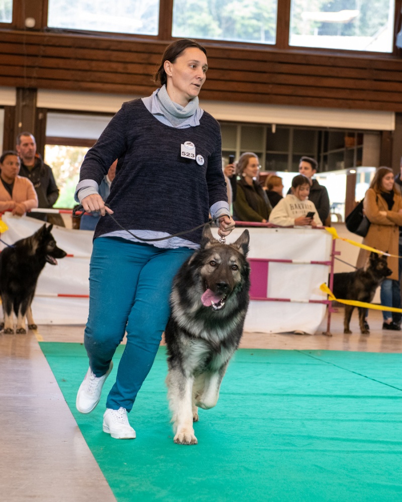 20221105_NE-Oberhaslach_2048_109