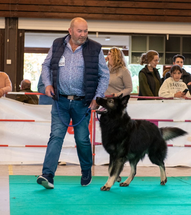 20221105_NE-Oberhaslach_2048_111