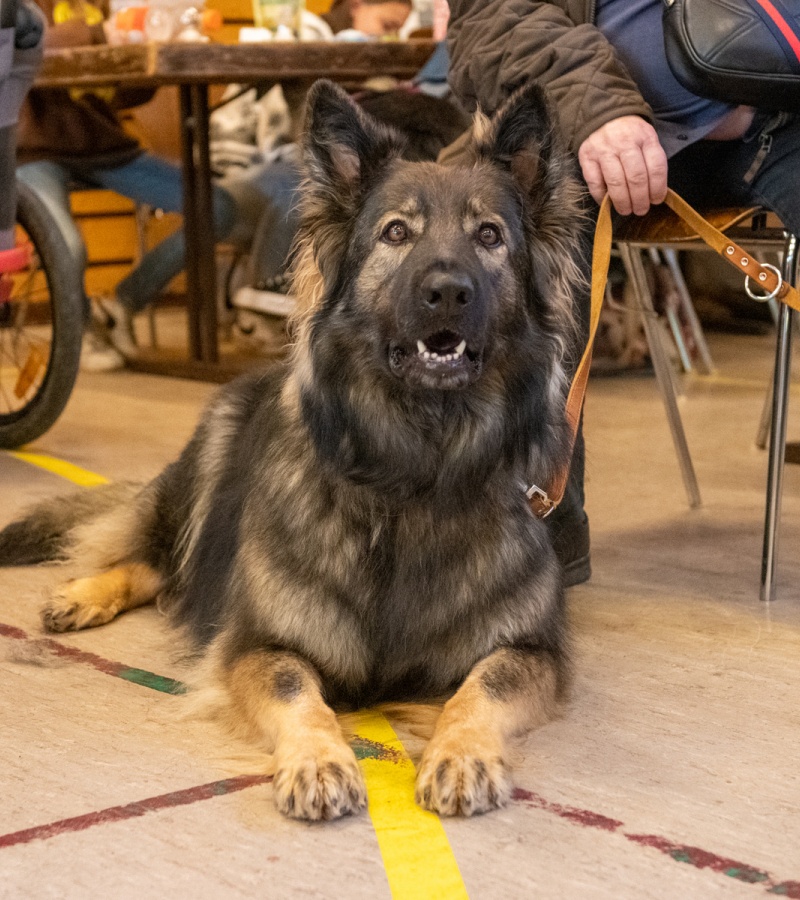 20221105_NE-Oberhaslach_2048_121