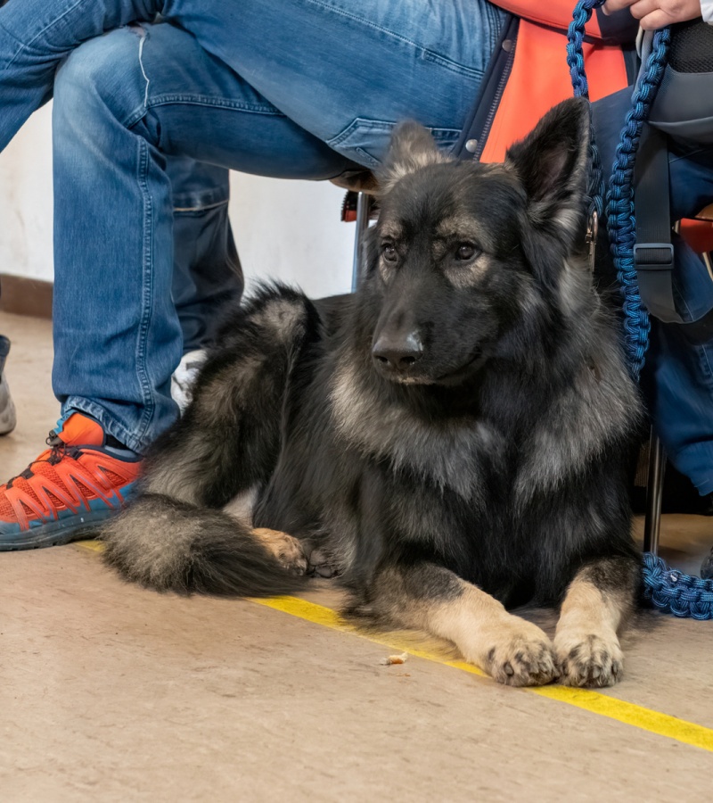 20221105_NE-Oberhaslach_2048_13