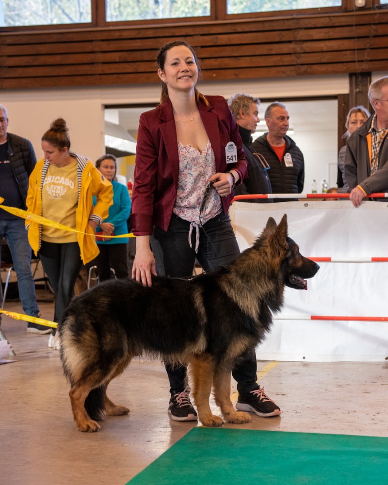 20221105_NE-Oberhaslach_2048_143