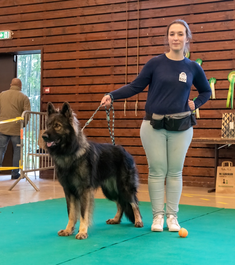 20221105_NE-Oberhaslach_2048_147