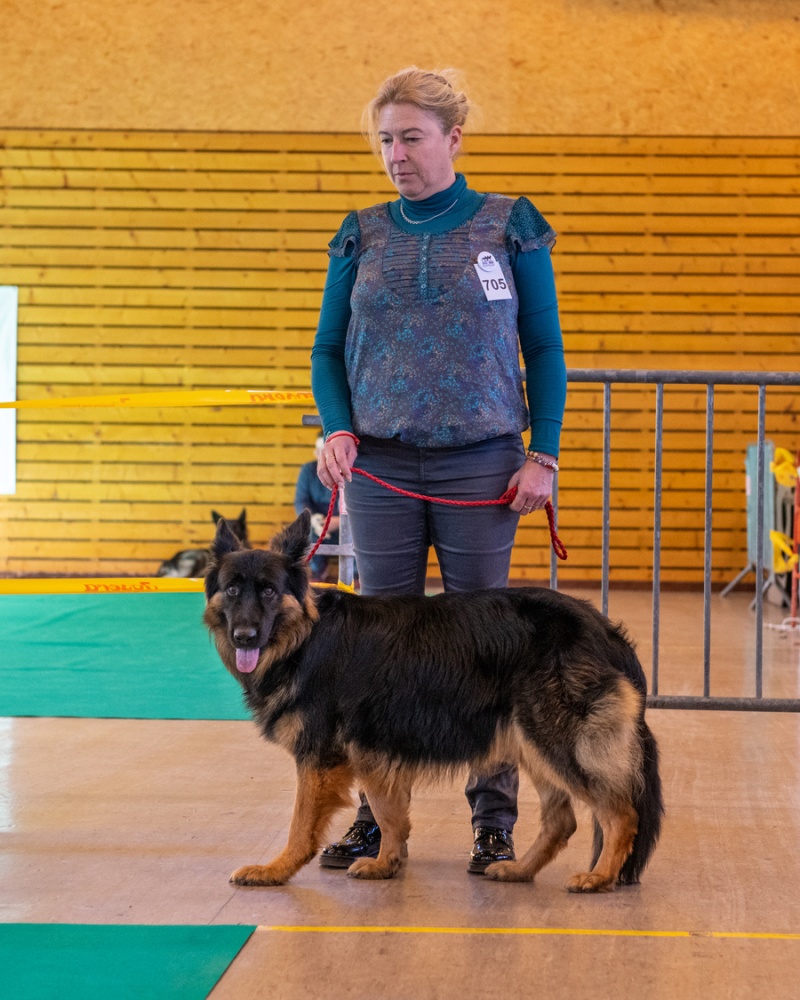 20221105_NE-Oberhaslach_2048_15
