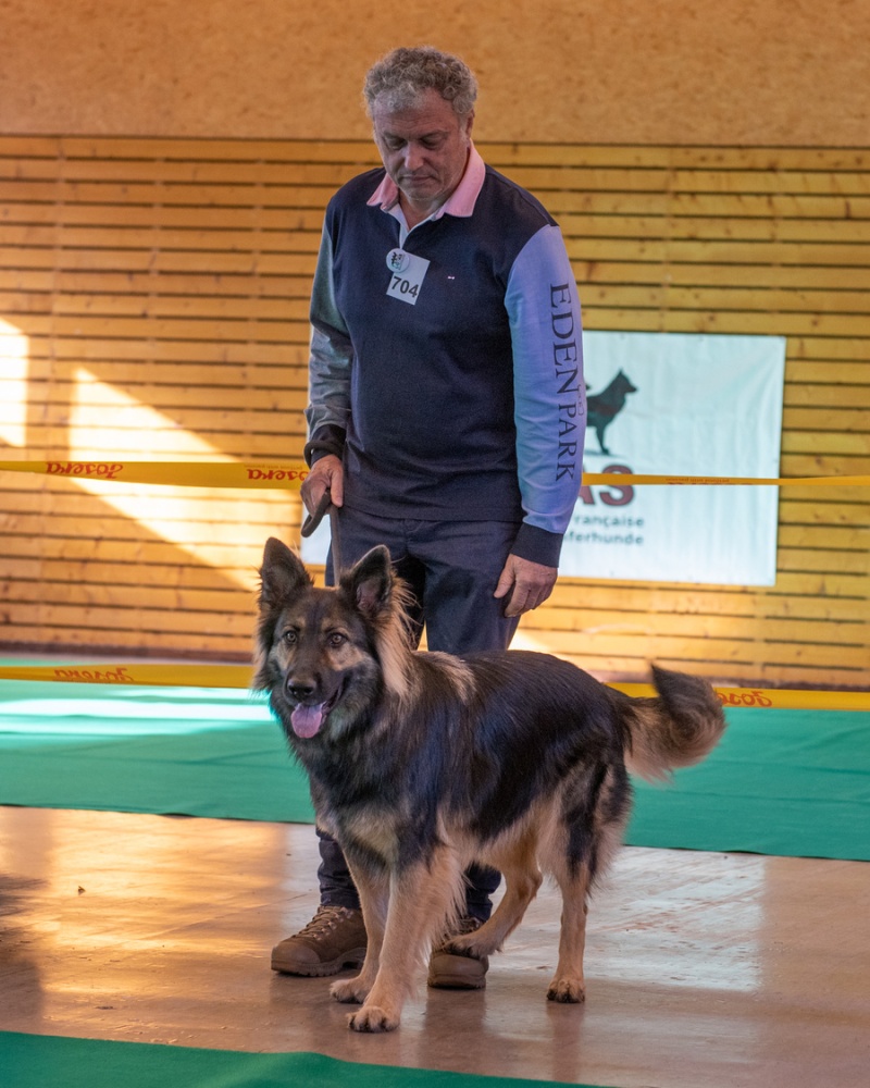 20221105_NE-Oberhaslach_2048_16