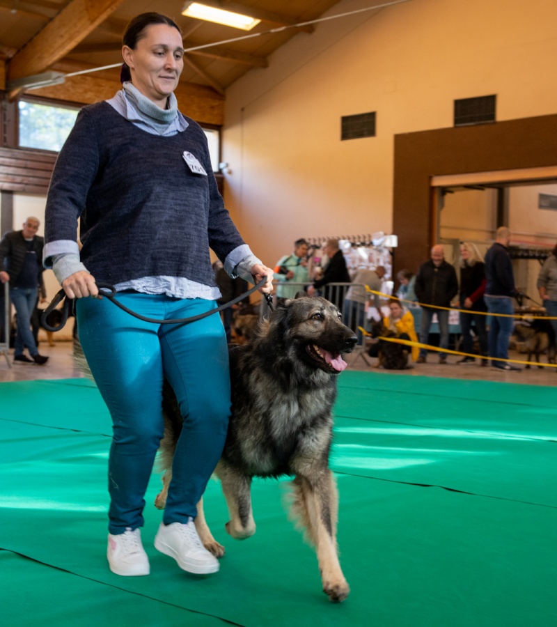 20221105_NE-Oberhaslach_2048_25