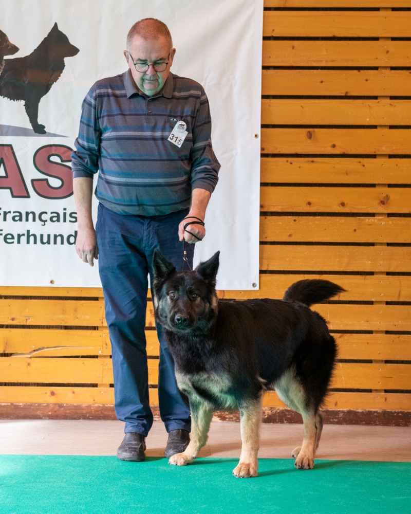 20221105_NE-Oberhaslach_2048_33