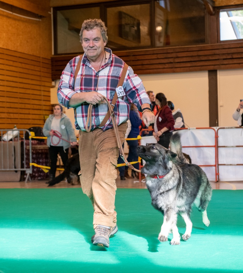 20221105_NE-Oberhaslach_2048_44