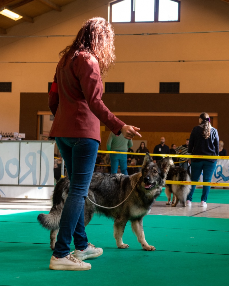 20221105_NE-Oberhaslach_2048_54
