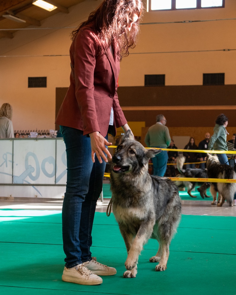20221105_NE-Oberhaslach_2048_56