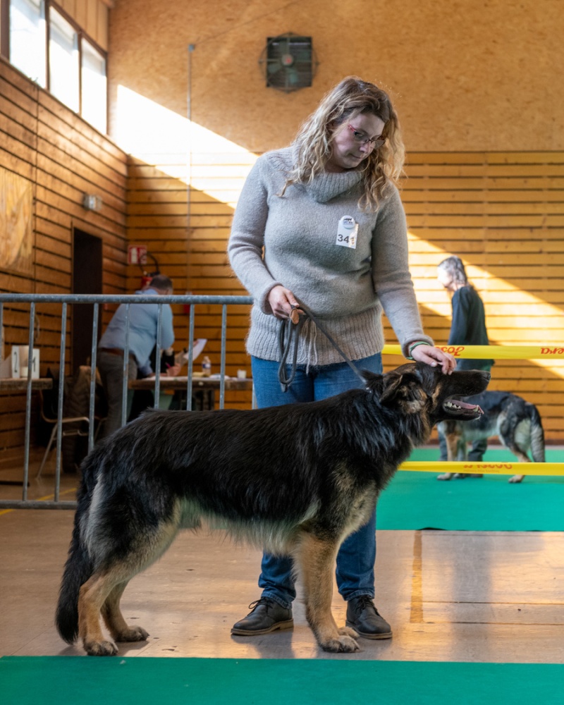 20221105_NE-Oberhaslach_2048_59